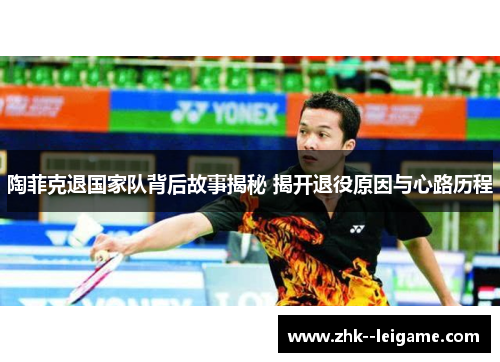 陶菲克退国家队背后故事揭秘 揭开退役原因与心路历程