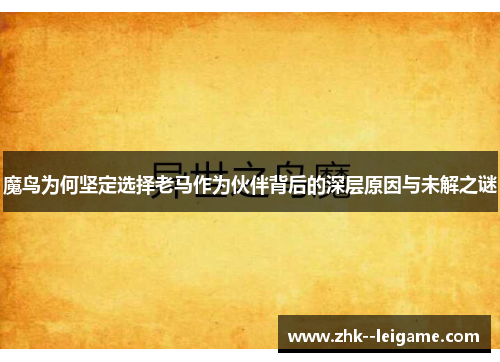 魔鸟为何坚定选择老马作为伙伴背后的深层原因与未解之谜 魔鸟为何坚定选择老马作为伙伴背后的深层原因与未解之谜