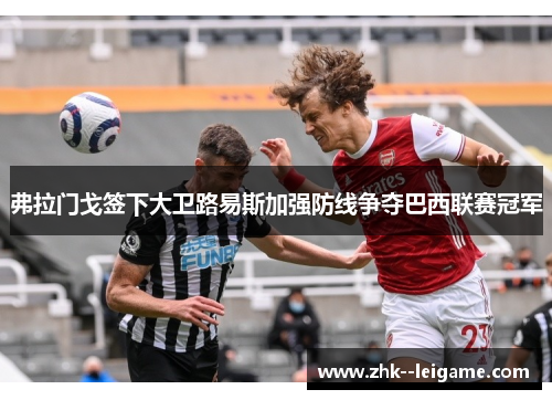 弗拉门戈签下大卫路易斯加强防线争夺巴西联赛冠军 弗拉门戈签下大卫路易斯加强防线争夺巴西联赛冠军